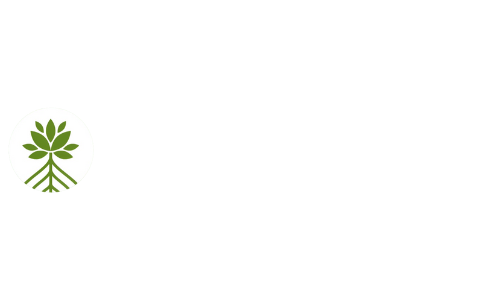 EcoSoluciones